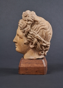 AFTER THE ANTIQUE HEAD OF THE BELEVEDERE APOLLO