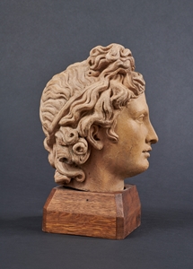 AFTER THE ANTIQUE HEAD OF THE BELEVEDERE APOLLO
